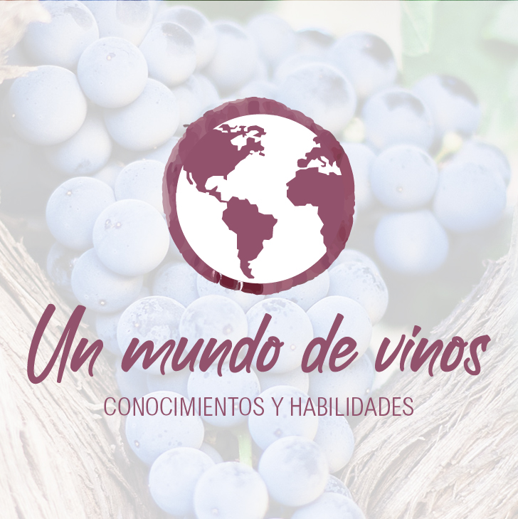 Matrícula Un mundo de vinos