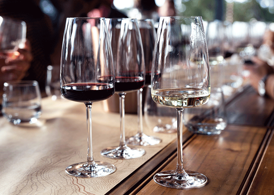 La cata y la cultura del vino